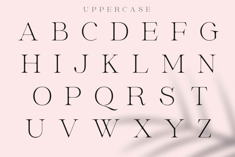 Elegant Stylish Serif