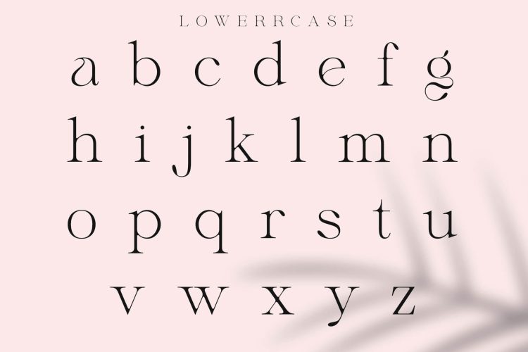 Elegant Stylish Serif