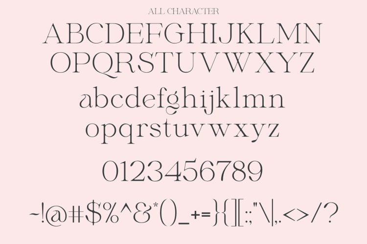 Elegant Stylish Serif