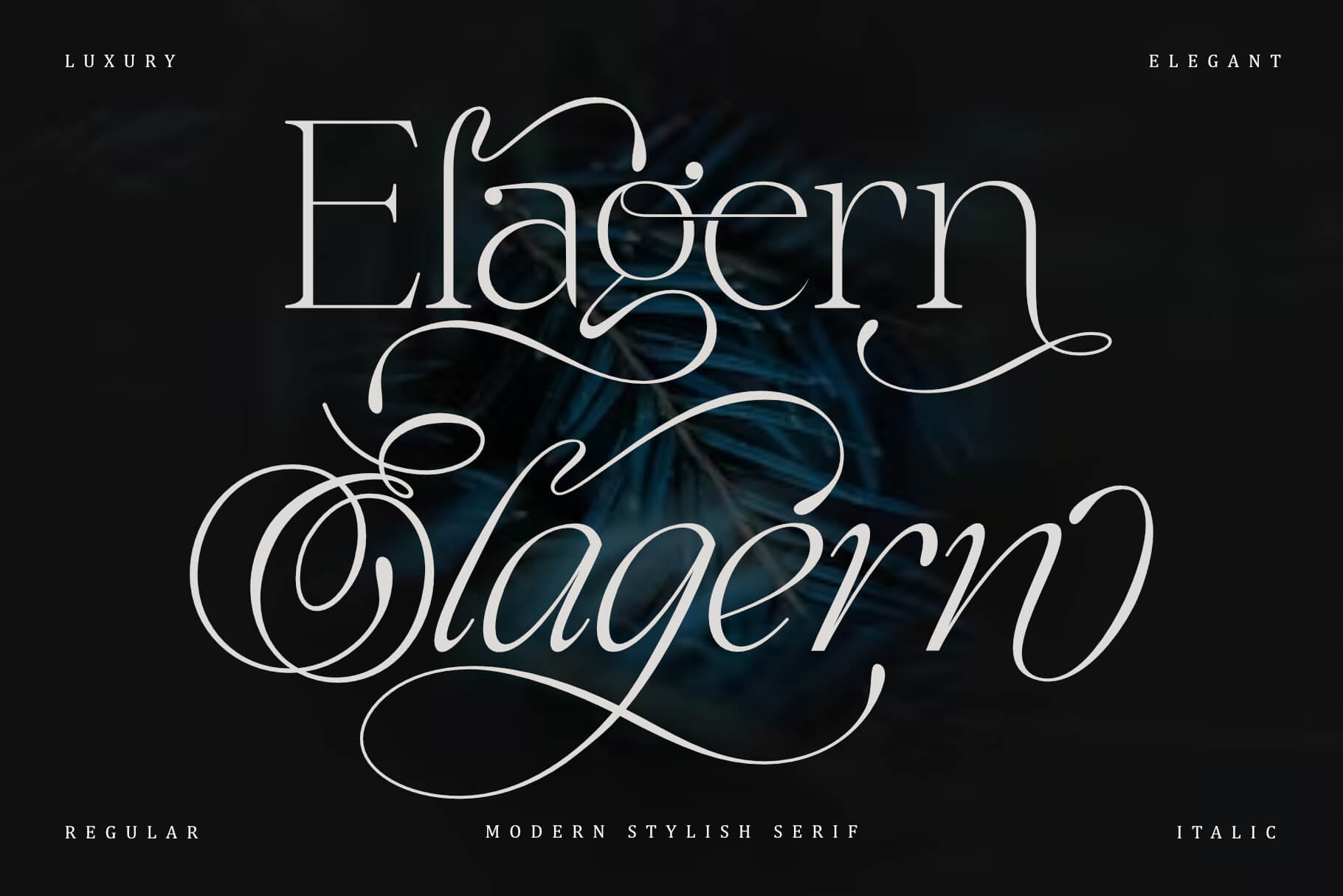 Modern Stylish Serif Font