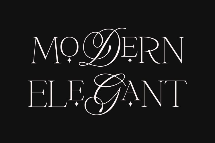 Modern Stylish Serif Font