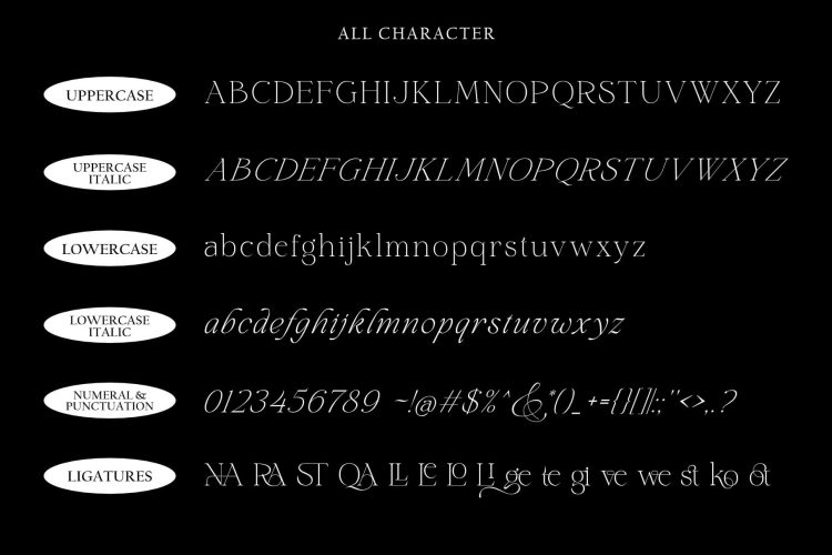 Modern Stylish Serif Font