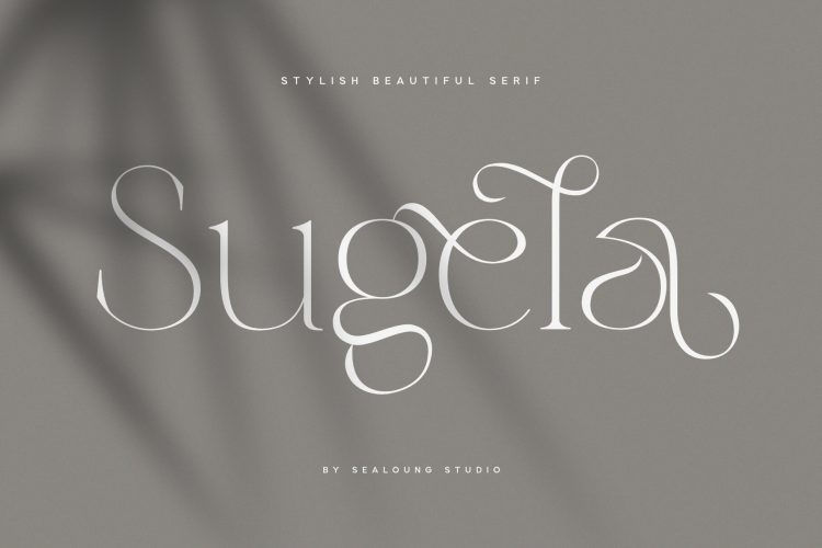 stylish beautiful serif