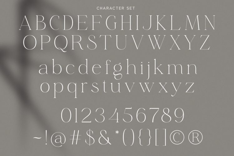 stylish beautiful serif