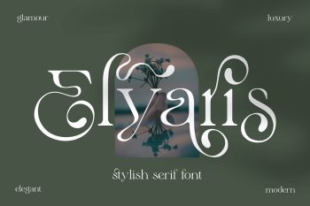 Stylish Serif Font