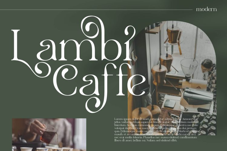 Stylish Serif Font