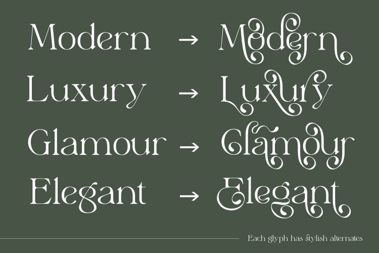 Stylish Serif Font