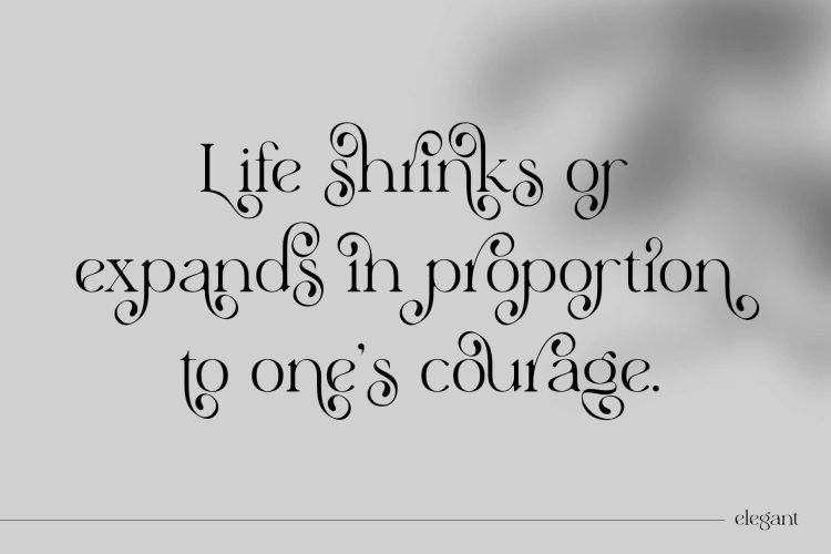Stylish Serif Font