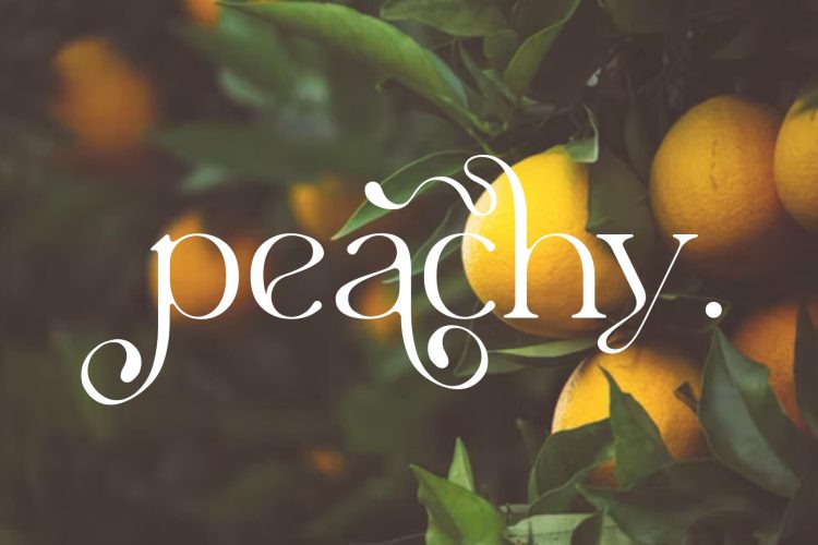 Stylish Serif Font