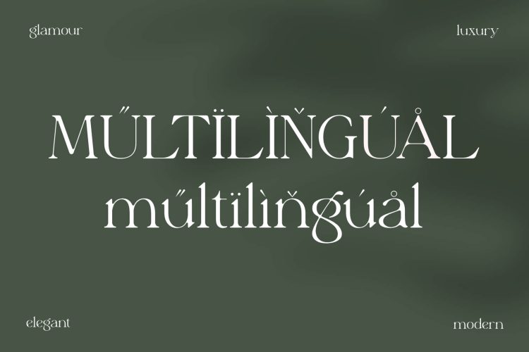 Stylish Serif Font