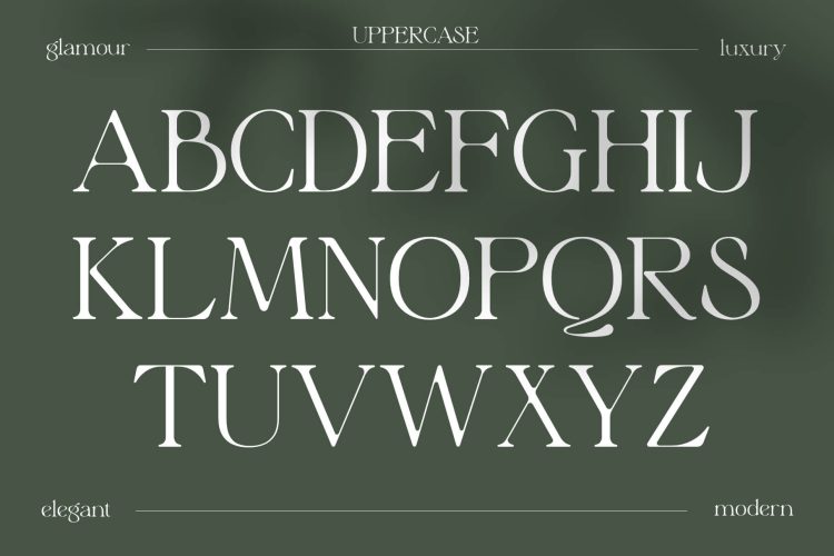 Stylish Serif Font