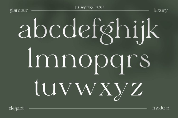 Stylish Serif Font