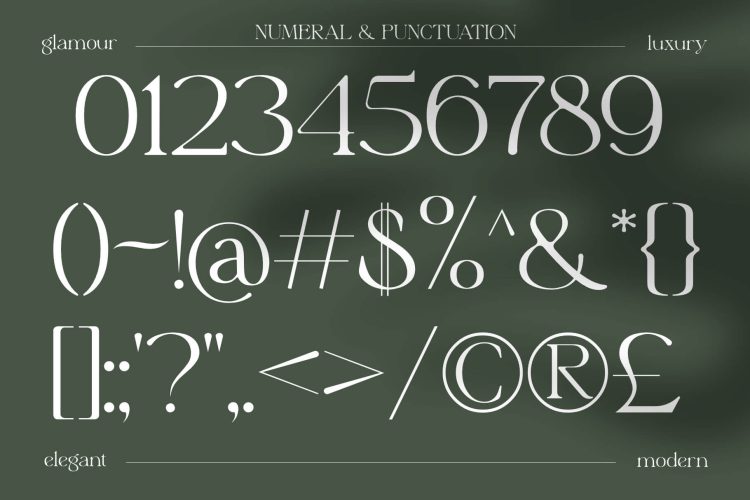 Stylish Serif Font