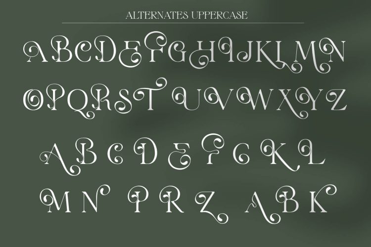 Stylish Serif Font