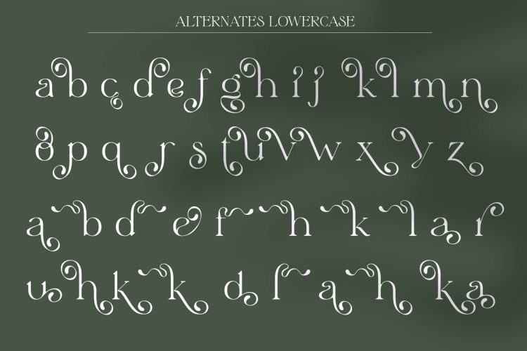 Stylish Serif Font
